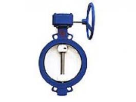 蝸輪單偏心蝶閥（WBGX、D372X）