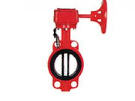 消防專用蝶閥（BWSX、D371X）