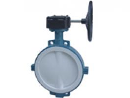 對夾式襯氟蝶閥（D371F46-16C