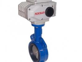 電動橡膠對夾蝶閥(D971X-16Q)