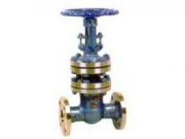 波紋管閘閥(WZ41H-16C)