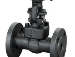 法蘭鍛鋼閘閥（Z41Y-1500LB）