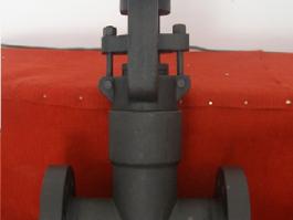 壓力自緊式閘閥（Z41Y-2500LB）