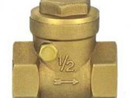 青銅絲扣止回閥（H14W-16T）