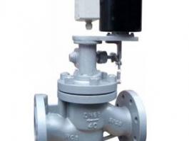 高溫高壓電磁閥（350℃、10.0Mpa）