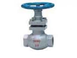 內(nèi)螺紋柱塞閥（UJ11SM-16C）