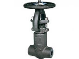 自密封高壓閘閥（Z61Y-2500LB）
